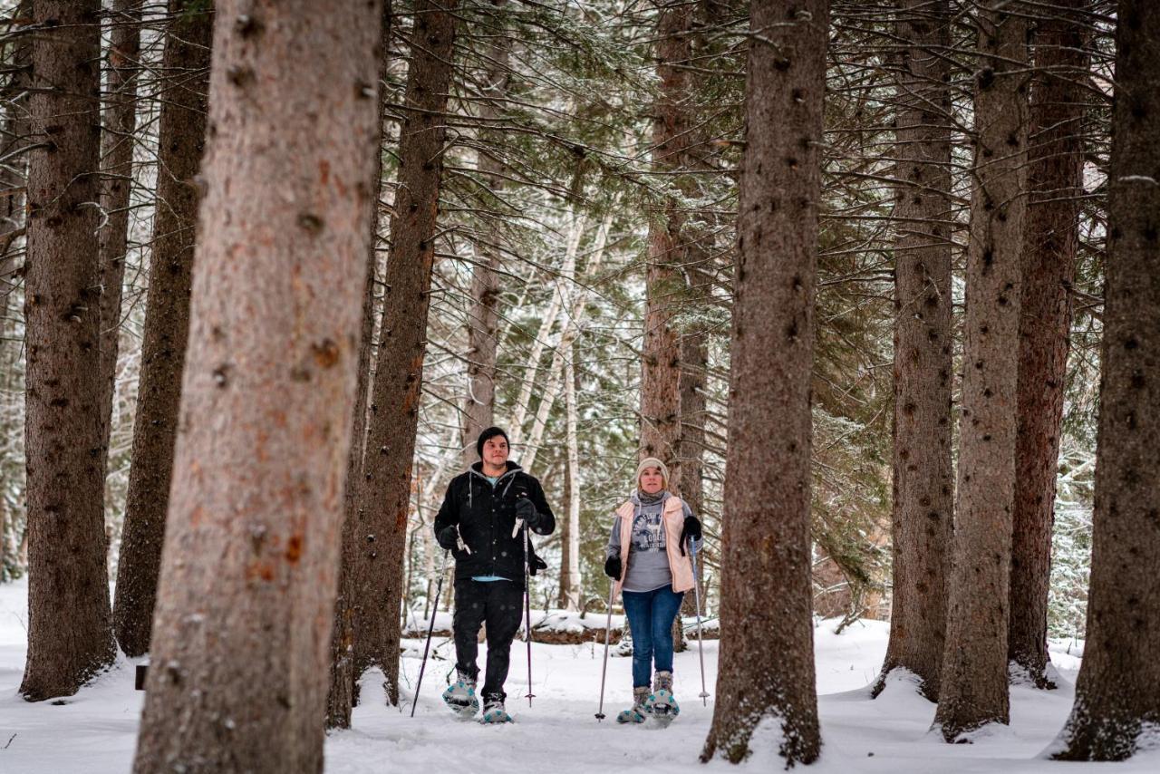 Spearfish Canyon Lodge Bagian luar foto